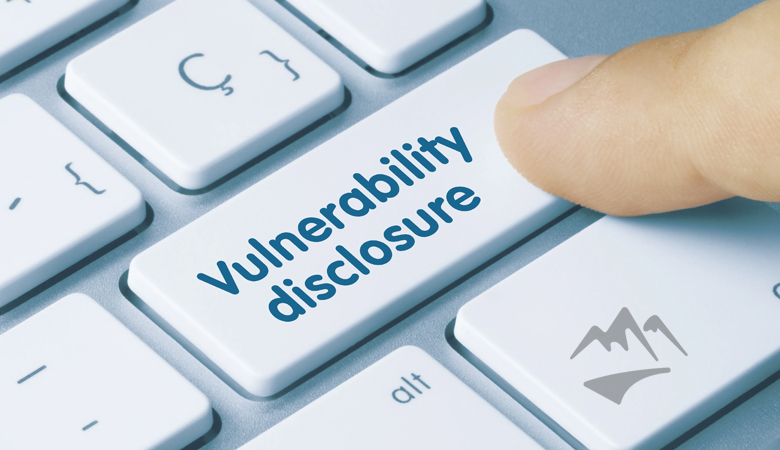 Vulnerability Disclosure Program Image